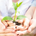 Hacemos conscientes a los niños de la importancia que tienen las plantas en nuestro mundo.