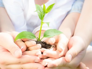 Hacemos conscientes a los niños de la importancia que tienen las plantas en nuestro mundo.