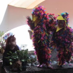 Montessori Cuernavaca: Los gatos atentos de los pajaritos!